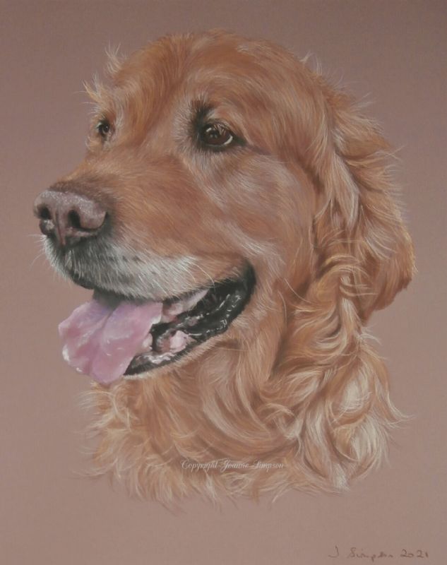 Golden Retriever pet portrait in pastel